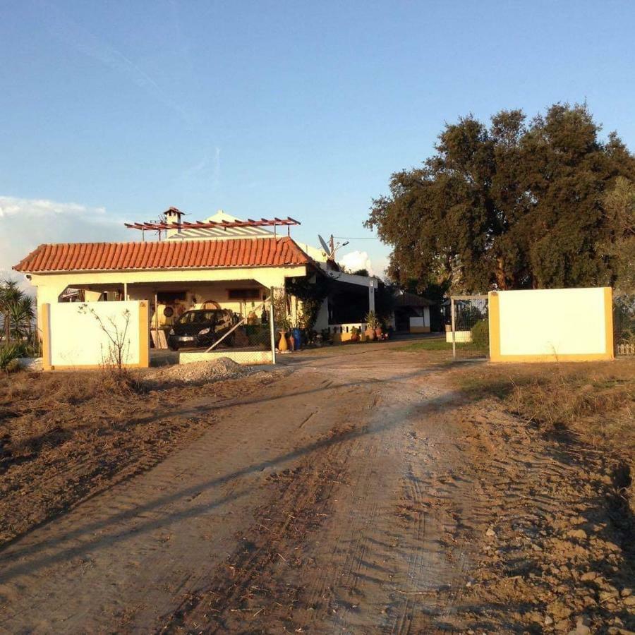 Monte Ramos Konuk evi Ferreira Do Alentejo Dış mekan fotoğraf